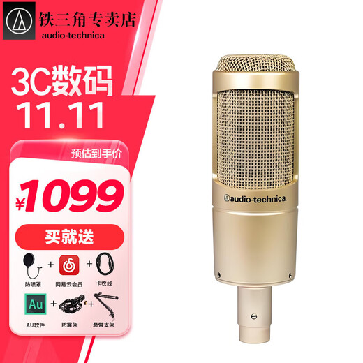 Audio-Technica AT2035 professional condenser microphone, computer live broadcast of karaoke, dubbing, audiobook, voice hall professional recording microphone at2035+Focus solo4+ free 1v1 tuning