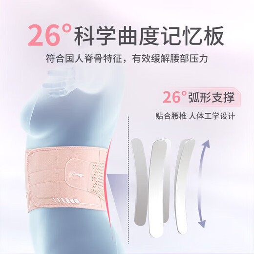 Li Ning protective belt for lumbar disc protrusion and lumbar muscle strain belt for sedentary women, special waist support for waist pain and lumbar support