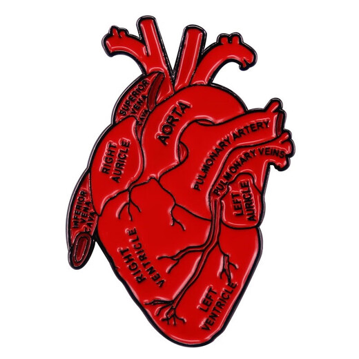 UHFR Anatomy Heart Art Enamel Pin Badge