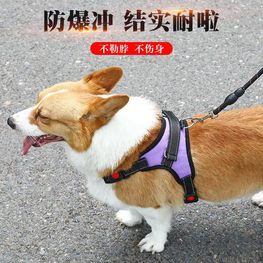 PPO dog leash vest type dog walking rope Teddy Corgi dog leash medium-sized dog small dog pet harness chest harness + 2 meters rope red S code suitable for 10-18 Jin Jin is equal to 0.5 kg.