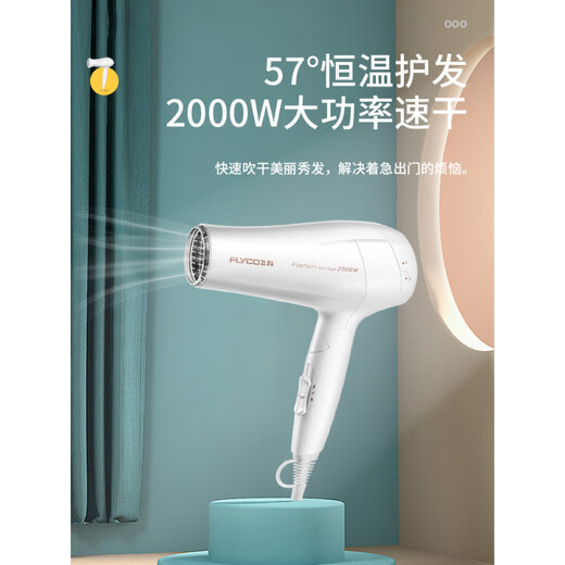 吹风机家用负离子护发宿舍用学生可折叠大功率不伤发电吹风筒 博锐吹风机 青草绿fh6296 同   8