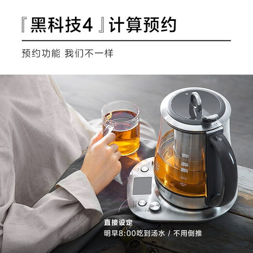 Beiding (Buydeem) Glue-free Health Pot Chinese Medicine Pot Multifunctional High-end Appointment Tea Maker Business Full Stainless Steel Imported Glass Smart Pot Kettle K187