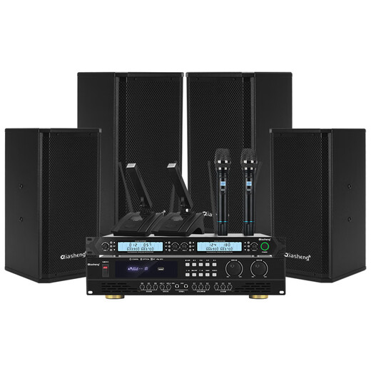 Qiasheng Chashg Professionell kleiner und mittlerer Konferenzraum Audio Spezialmontierter Lautsprecherverstärker Wireless Mikrofonkombination Home KTV-Lehr- und Schulungs-Audio-System-Geräte vier 10-Zoll-Audio-Set (Double U-Segment Gans Hals)