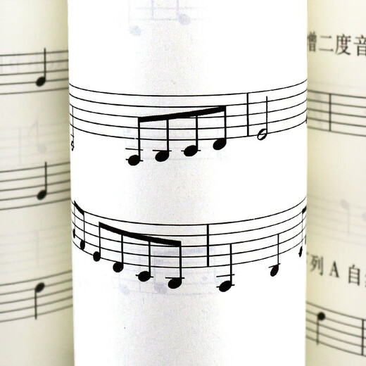 Series of self-selected] Basic Musical Knowledge Basic Music Examination Simulation Paper Social Art Level Level Examination Basic Music Knowledge Music Theoretical Basics China Youth Press China Conservatory of Music Basic Music Examination Tutorial Level 123 National General Level 123 Music Examination Books Basic Music Examination Tutorial Level 5-6 Textbooks