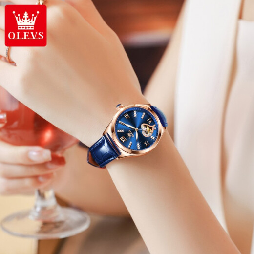 Swisss Swisss Swisss Swiss Watch Watch Женские механические часы Полностью автоматические водонепроницаемые светящиеся женские часы Hollow Diamond Set Watch Olevs-6636-голуба