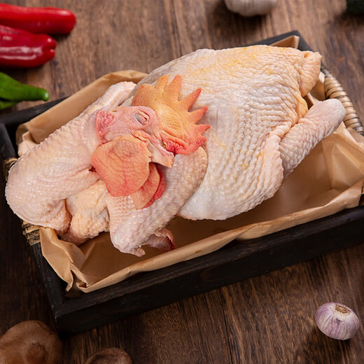 Xiangjia Golden Rooster Blessings Atmosphere Aboriginal Yellow Rooster 1.3kg