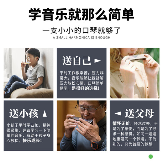 上海敦煌24孔复音口琴A/B/C/D/E/F/G高级成人中老年人舞台专业演奏级 银色D调+全套学习礼包