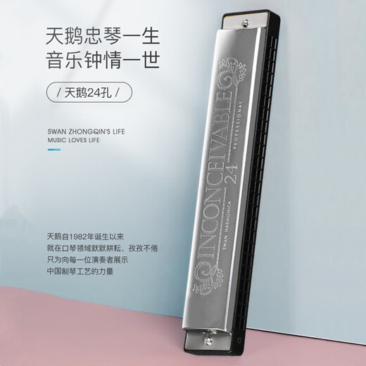 天鹅（SWAN）单音口琴24孔c调儿童小学生初学者入门C大调带简谱音符口风琴 【带音符标记】单音24孔C银色