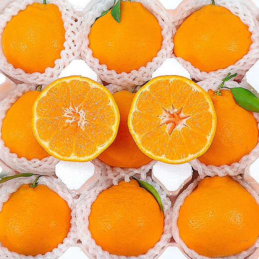 Xuji (XUJI) Sichuan Chunjian Mandarin Fresh Fruit Papa Pa Pa Pa Pa Mandarin Seasonal Ugly Orange Ugly Eight Monsters Orange Sweet Mandarin Full Box of 12 Pieces Gift Box + Handbag