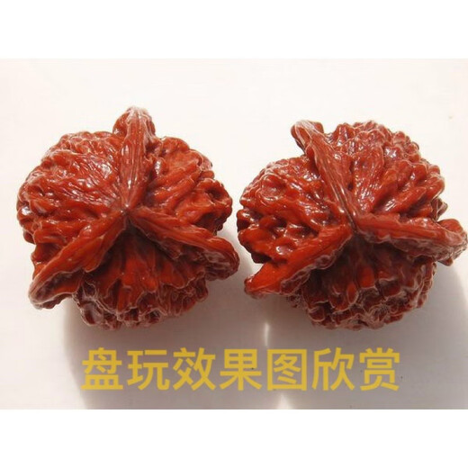 LFDOSG fine old trees are running around the cultural relics walnuts, Panshan, Wenshan, one thing, one shot, 520 Valentine's Day birthday gift 35 Panshan 17279