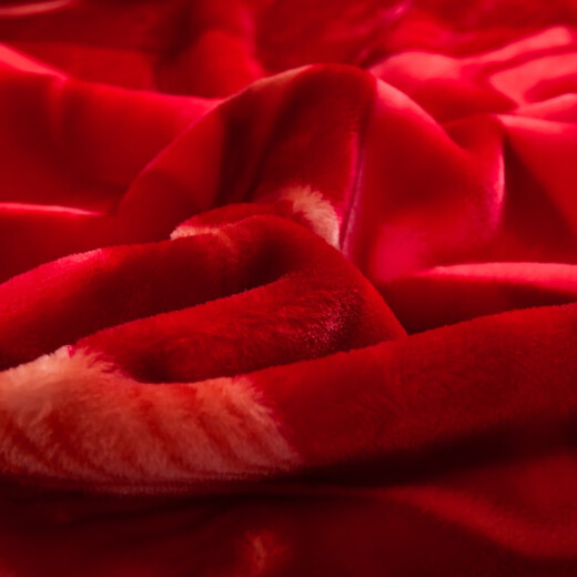 Yalu Rasher Decke verdickte Winterquilt Hochzeit Koralle Velvet 12 Jin [Jin entspricht 0,5 kg] Decke Doppelschicht warm warm warm ein Nickerchen-Decke CC-653 Dahong 180x220cm 6 Jin [Jin gleich 0,5 kg]