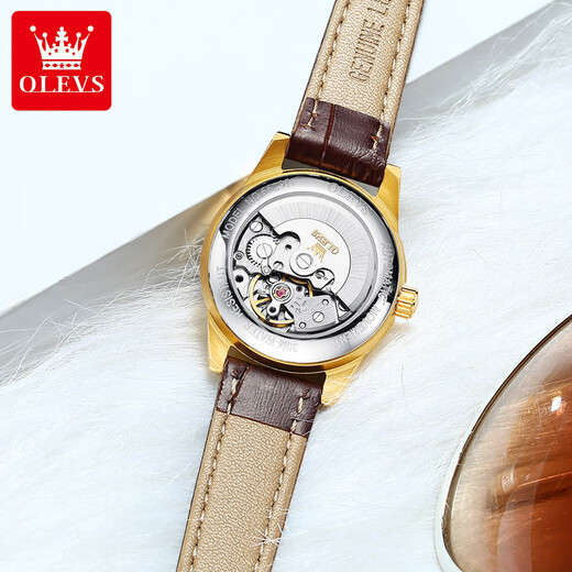 
OLEVS Swiss certified brand watches women's mechanical watch fully automatic simple temperament women's watch high-end trendy women's watch [mechanical model] white face-6629