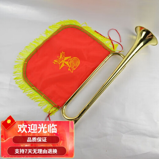 杉贝佳乐青年号普及型  少年号 小号 铜号鼓乐队号少先队号定制款+号 青年号+号旗+手套+1个备用号嘴