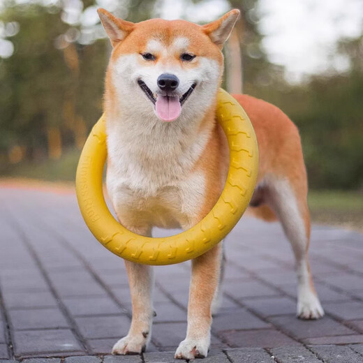 Gasco dog toy eva pull ring for medium and large dogs interactive ring golden fur edge shepherd molars and bite resistant dog boredom relief artifact
