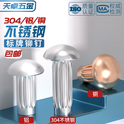 Tianzhuo Hardware GB827 stainless steel 304 sign rivets aluminum knurled nameplate copper trademark solid rivets M2M2.5M3M4M5mm M4*6 50 pieces copper