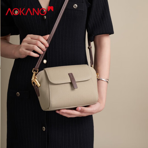 奥康（Aokang）包包女包2025新款轻奢简约时尚百搭斜跨单肩包生日礼物送老婆 大象灰