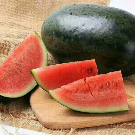 Long-cultivation, early-maturing Golden Beauty Watermelon Seeds, Southern Spring Four Seasons, Yellow-skinned, Red-Fleshed Watermelon Seeds, Balcony Potted Fruit Seeds, Large Fruit Black Beauty Watermelon 300 capsules/Hybrid Large Fruit