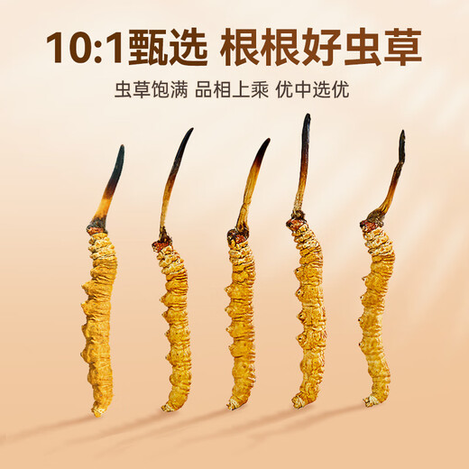 Tongyongtang Cordyceps sinensis 3 roots/g 10 grams 30 roots high-quality Cordyceps gift box tonics parents and elders gifts