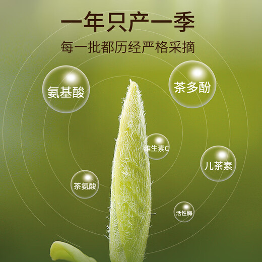 华祥苑乌龙茶 潮汕凤凰单枞特级100g轻火铁盒装单丛茶叶