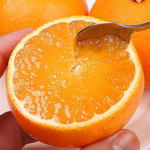 Jingxiansheng Xiangshan Red Beauty Ehime Nr. 28 Jelly Orange Nettogewicht 4,2Jin Jin entspricht 0,5kg Einzelne Frucht 180g+ Geschenkbox mit frischem Obst