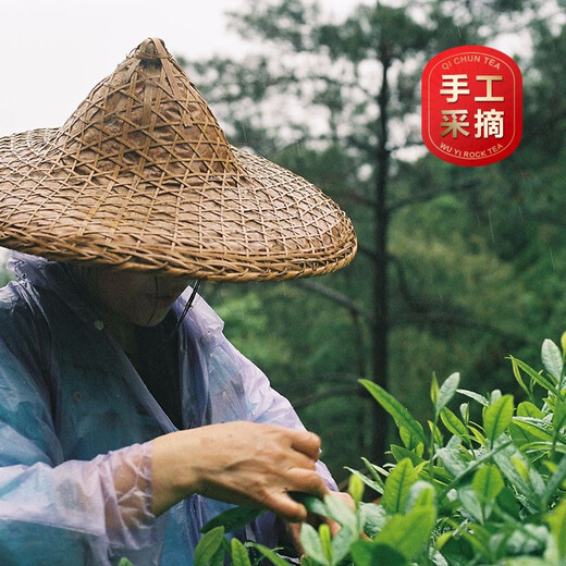 Qichun-Tee, Wuyi-Zimt-Tee, mit Holzkohle gebackener fruchtiger Oolong-Tee, 250 g, Geschenkbox, Neujahrsgeschenk für Älteste und Führungskräfte