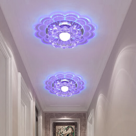 微伙客厅led射灯水晶过道灯走廊灯玄关灯嵌入式个性入户走道阳台筒灯 20CM-5W白光【明装】