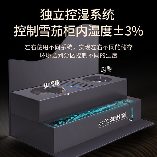 Baikelen Cigar Cabinet Double Door Constant Temperature and Humidity Tobacco and Wine Cabinet Tea Cabinet Beverage Cabinet Refrigerator Air-cooled Frost-free Household Commercial Large Capacity Zero Embedded Spanish Cedar Wood WIFI Ammonia Removal 2 Meters丨Three Temperature Zones丨Red Wine+Ice Bar+Cigar丨Thin Section