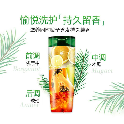 L'Oreal Tea Tree Plant Extract Shampoo 500ml*2+Hair Mask Two