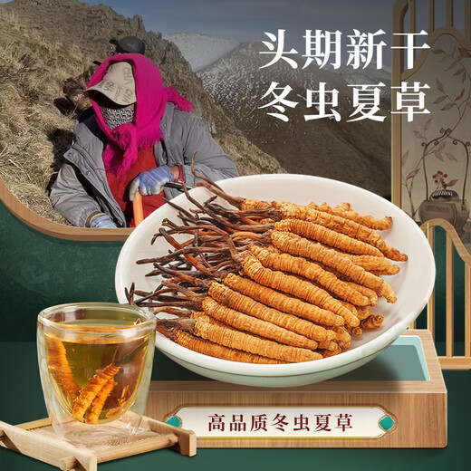 Tongfu Cordyceps sinensis 3 Roots/G 1G Paquete. El primer período de nuevos productos secos Cordyceps sinensis de alta calidad sin interrupción.