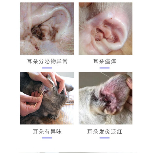 Ferret Fragrance Ferret Pet Ear Drops Ear Bleaching Ear Kang Removes Ear Mites and Ear Oil Cats and Dogs Ear Cleansing Liquid Pet Daily Supplies Ear Cleansing Liquid *2