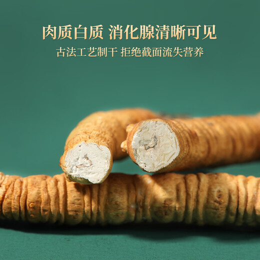 紫蓝花海冬虫夏草 断虫草 精品纯肉节断草 自食高性价比 大号纯肉节20克装【自用实惠】