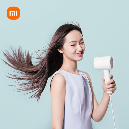 Mijia Xiaomi Hair Dryer H300 Hair Care Negative Ion Quick-drying Hair Dryer Smart Constant Temperature Moisturizing Hair Salon Professional Hair Dryer Holiday Gift White