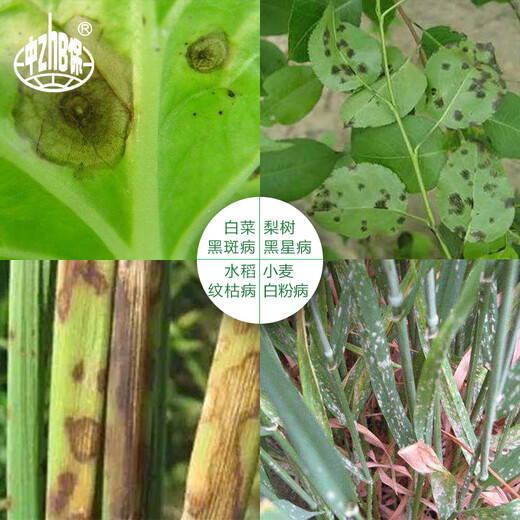 Bayer Fuli cupentazole pear tree cucumber powdery mildew black spot scab scab disease sheath blight pesticide fungicide 100ml