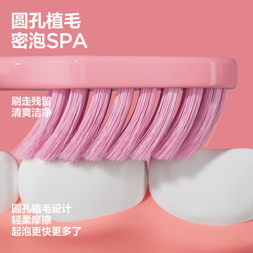 Mixed small rainbow soft bristle toothbrush care for gums and clean oral adults 8 packs, affordable stockings for families