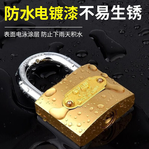 朴派仿铜挂锁防盗锁子宿舍柜门锁户外大门锁家用锁通开锁多把钥匙 20mm不通开锁（配2把钥匙）