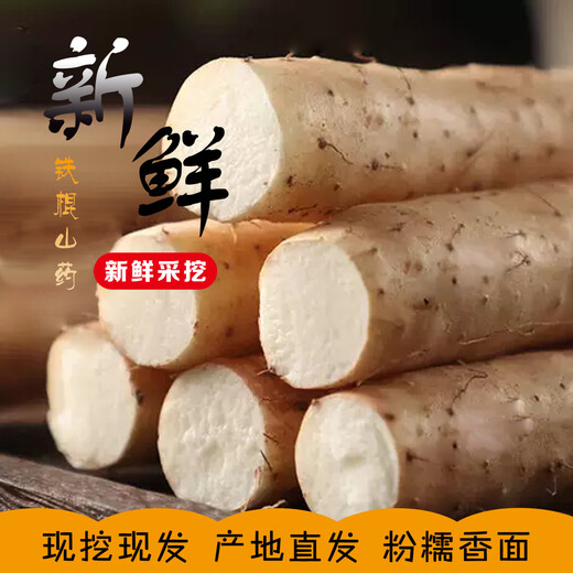 Authentic iron-bar yam, Huaishan yam, iron-bar yam, Jiaozuo Wenxian pink glutinous sweet fresh yam, iron-bar yam 2Jin Jin equal to 0.5kg, with box 10cm-20cm