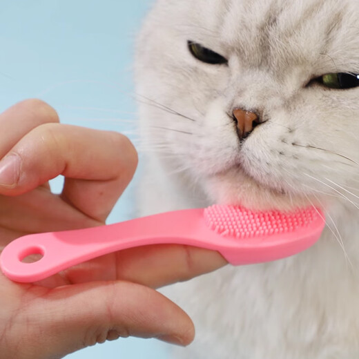 Lubo Cat Black Chin Cleaning Brush Silicone Brush Cleans Pet Cats and Dogs Comb Chin Wipe Toothbrush Cleaner Cleaning Brush 2 Pack Random Color