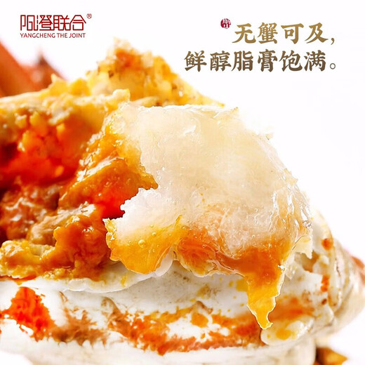 [Geschenkgutschein] Yangcheng United Hairy Crab Geschenkgutschein Krabben -Gutschein Geschenkkarten Geschenkkarton Meeresfrüchte Wasserprodukte 9766 Typ männlich 6.0 Twin Frau 4.5 Twin 5 bis 10