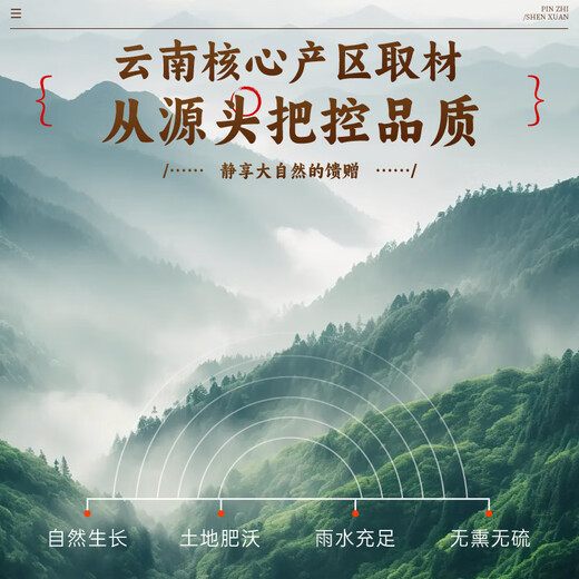 Taishoutang Panax Notoginseng Tabletten Tianqi chinesische Kräutermedikamente Panax Notoginseng Pulver in Wasser, Tee, Wein, gedünstete Suppe für Älteste, Eltern und ältere Menschen. Panax NotoginSeng Tabletten 100g*3 Dosen