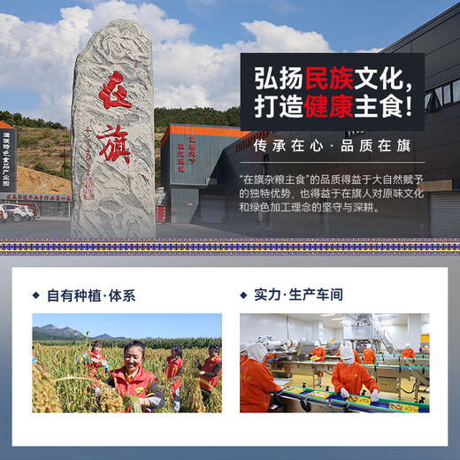 在旗大黄米炸糕500g 10个 红豆馅 油炸食品 天津油炸糕半成品特产小吃