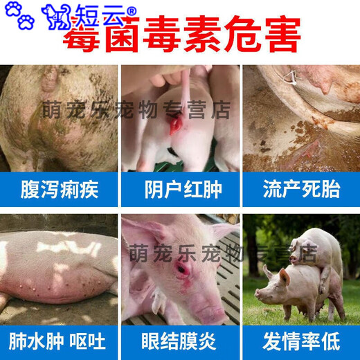 Short cloud veterinary mold remover, sows, cattle and sheep, pregnant animals can be mixed with water for chickens, ducks, geese and pigeons, feed additives, 3 bags of mold remover, 4 bags of real hair