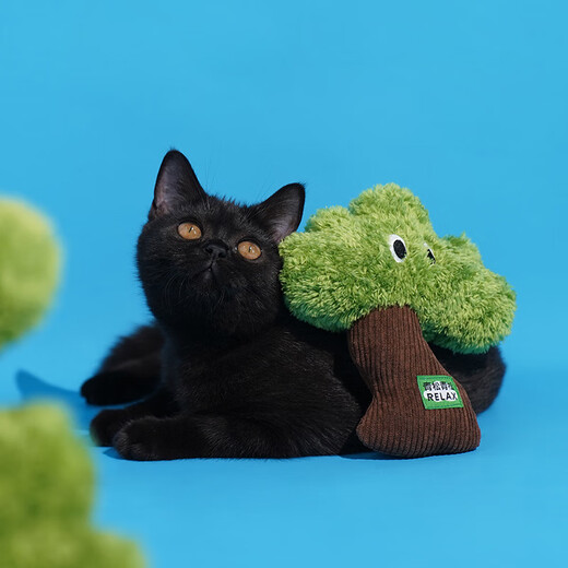 ZEZE cat toy self-stimulating kitten molars cat bites kitten kitten teasing stick cat pet supplies small size without zipper