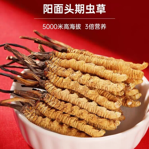 
Cordyceps sinensis (SF Express direct delivery) Tibetan high-altitude Cordyceps sinensis gift box high-end atmospheric and high-end Naqu Cordyceps 4 1 gram 50 pieces pack 2 pieces