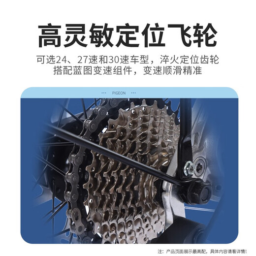 飞鸽（FLYING PIGEON）长途旅行自行车铝合金蝴蝶把成人男女公路车变速城市通勤单车跑车 旅行800-蓝图24速-线碟 变色龙蓝