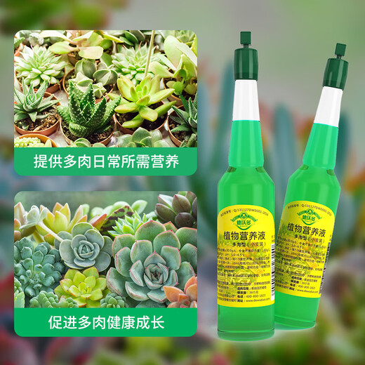 Devodo succulent special plant nutrient solution 6 bottles/pack gardening green plant flower fertilizer planting color rooting organic foliar fertilizer