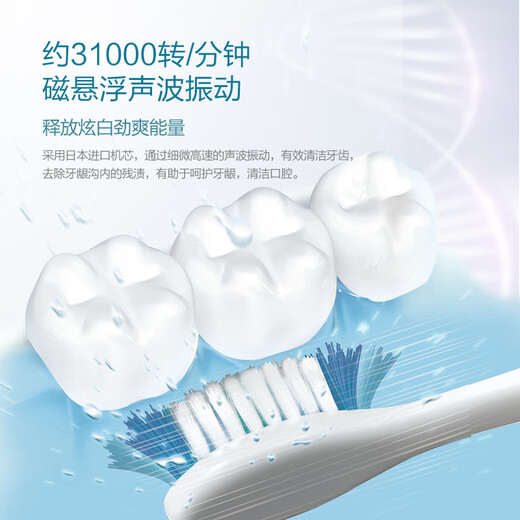 Panasonic Tooth Guard Electric Toothbrush Suitable for Sensitive Gums Removes Stain and Protects Gums Intelligent Pressure Sensing 3 Teeth Cleaning Modes Gift DC12 to Boyfriend or Girlfriend White