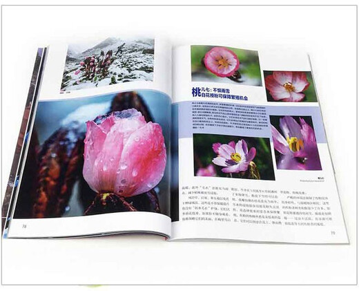 A complete set of 7 volumes, Beautiful Earth Series Gift Box, China National Geographic Magazine Books, Rivers/Mountains/The Ultimate Beauty of Seven Continents, Human Geography Knowledge Travel Books, Beautiful Earth - Mountains (presenting more than 70 magnificent mountains)