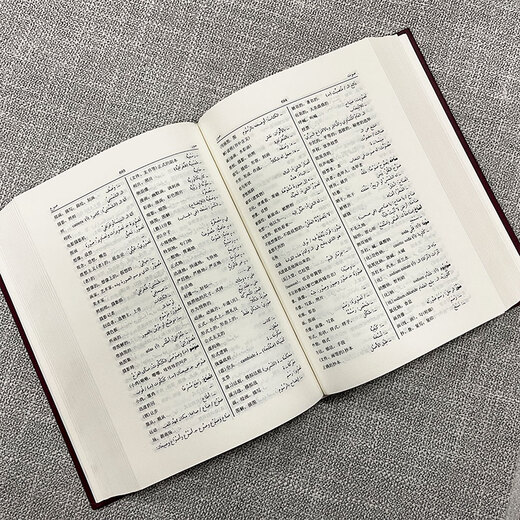 当当正版 阿拉伯语 阿拉伯语汉语词典（修订版）