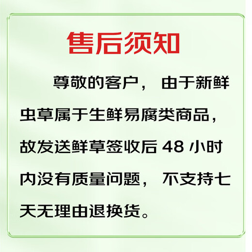 Dongyangguang Fresh Cordyceps 0,4-0,6g / 10 Les suppléments frais cordyceps sinensis sont envoyés aux anciens et aux personnes âgées pour envoyer des cheveux directs à la source