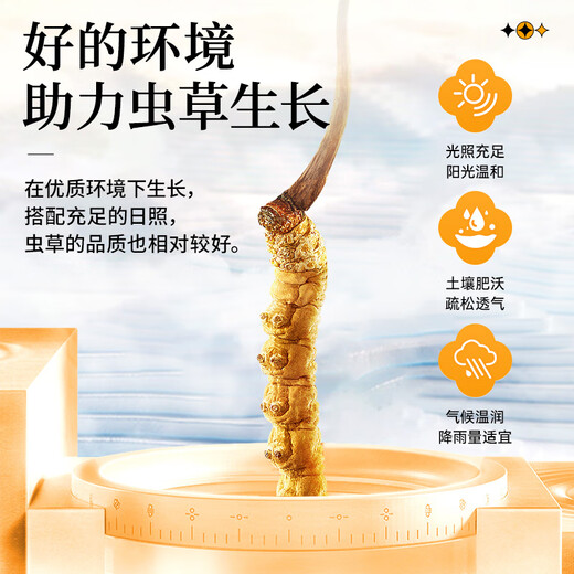 雷允上【官方】冬虫夏草 高端礼盒高档补品送人长辈父母礼盒 【虫草养身，健康久延】养悦心断草5克